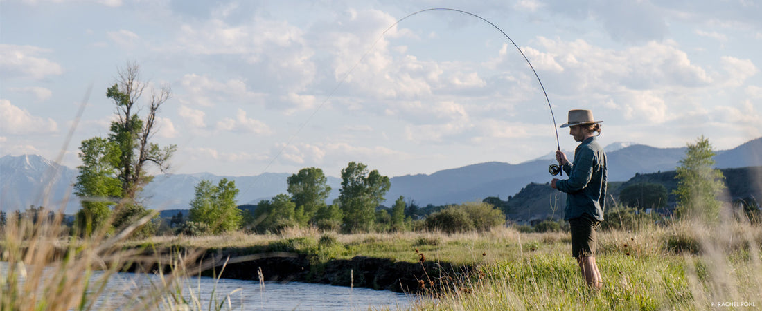 Salmon, Science and Storytelling