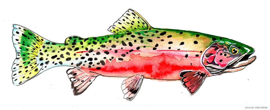 Implements and Approaches: The Art of Ryan Keene