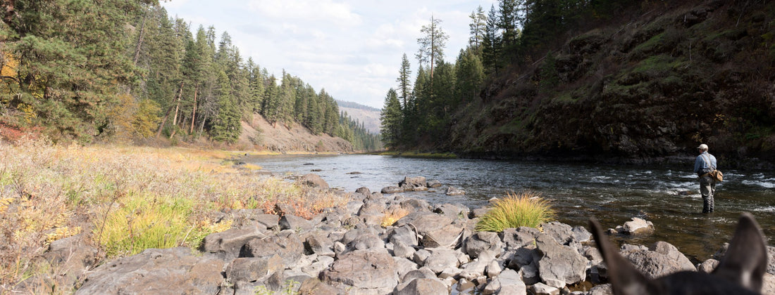 a river scenic of a man flyfishing