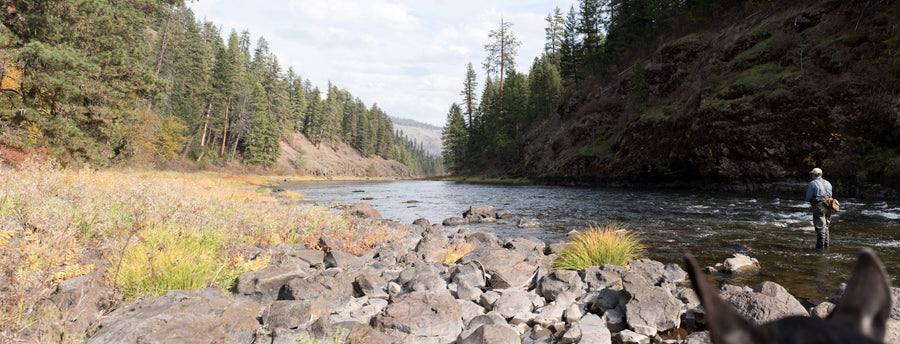 a river scenic of a man flyfishing