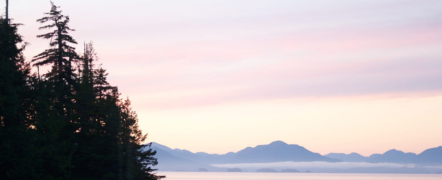 Southeast Alaska as seen from Dundas Island
