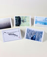 The Flyfish Journal Greeting Cards